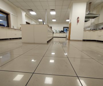 Profesyonel Temizlik Hizmeti